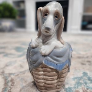 Bassett hound in basket